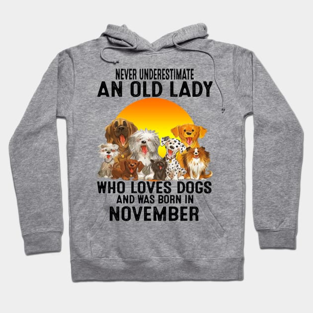 Never Underestimate An Old November Lady Who Loves Dogs Hoodie by trainerunderline